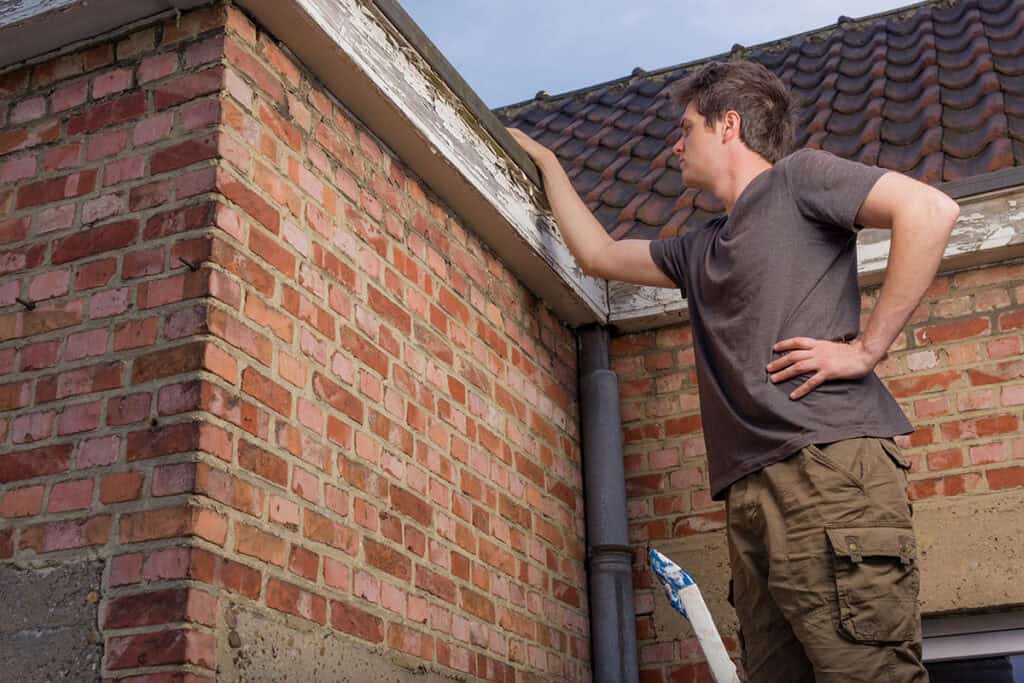 A man in a gray t-shirt and khaki shorts inspects the edge of a roof on a brick building, standing on a ladder with one hand resting on his hip and the other hand touching the roof's eaves. The wall features red and pink bricks, and there is a downspout visible to the side.
